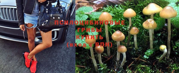 прущие крисы Рославль